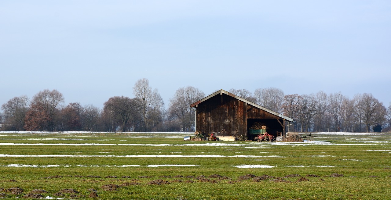 meadow pasture winter free photo