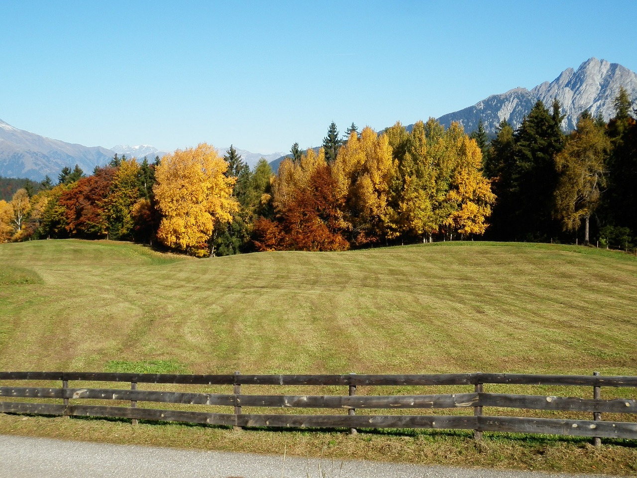 meadow fence trees free photo