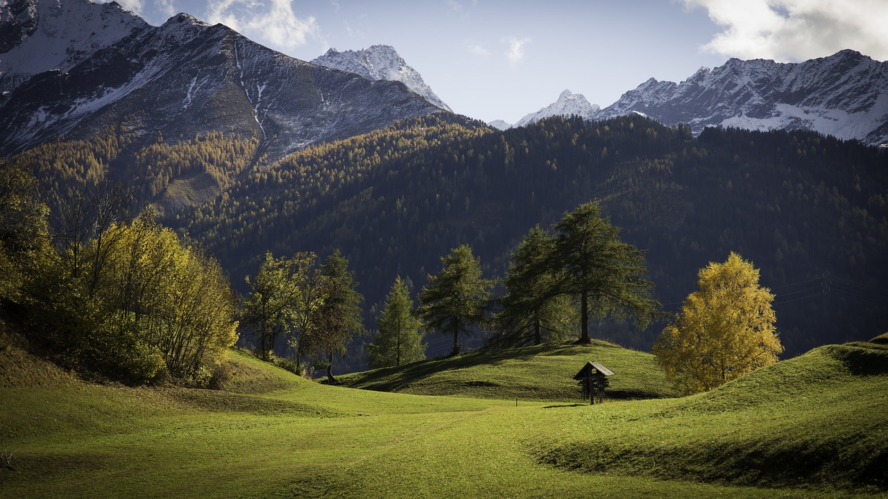 meadow landscape nature free photo