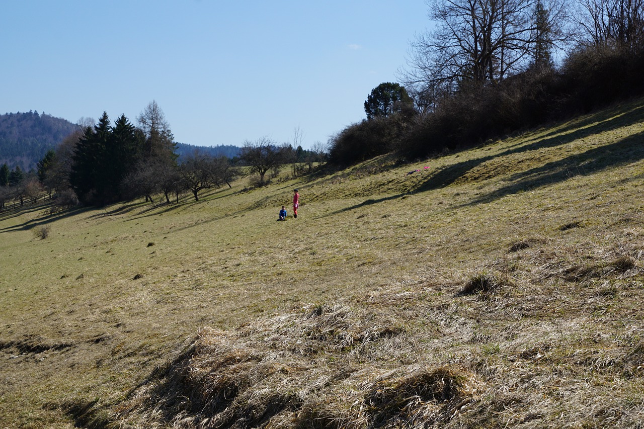 meadow children play free photo