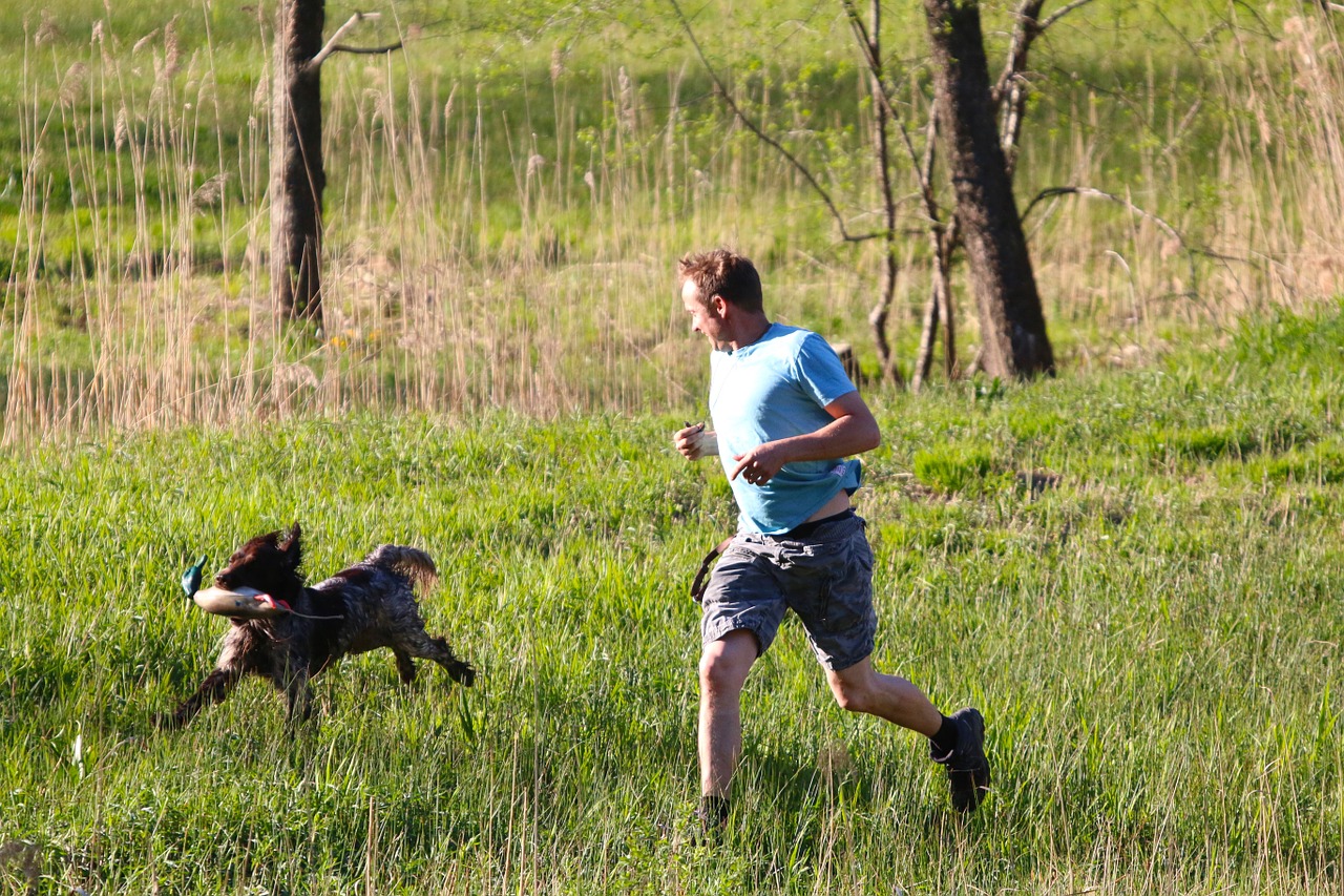 meadow human dog free photo