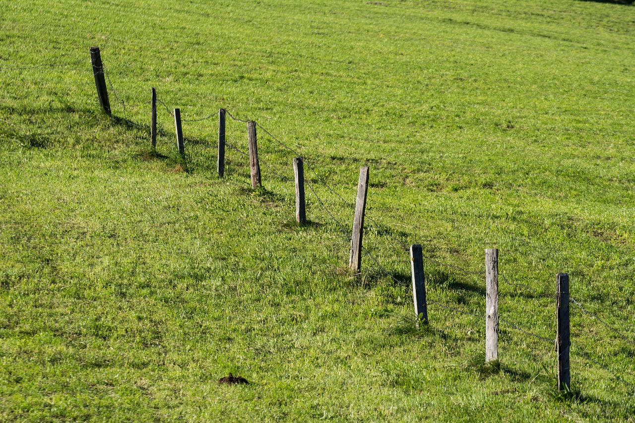 meadow fence nature free photo