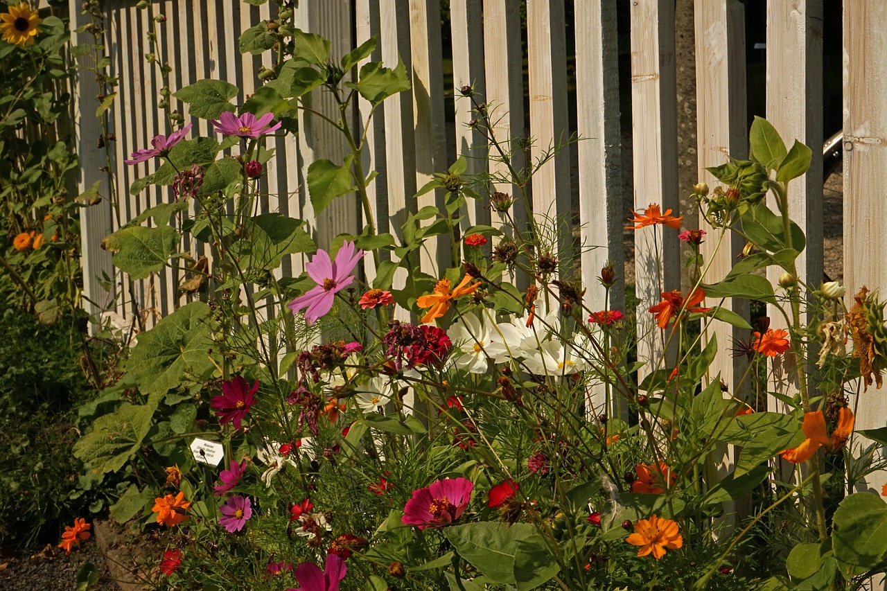 meadow flowers close free photo