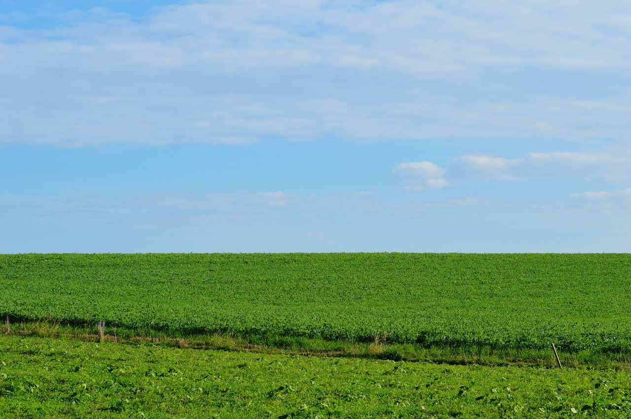 meadow sky landscape free photo