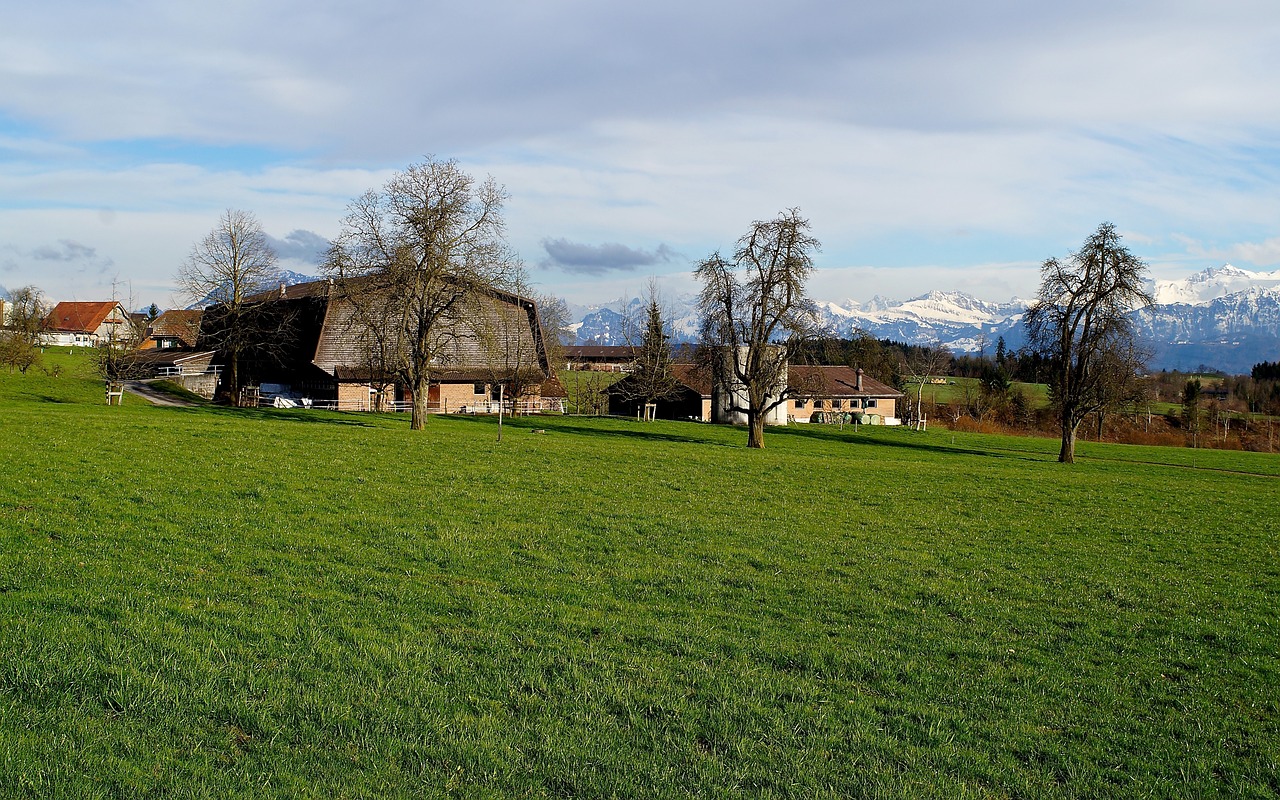 meadow field barn free photo