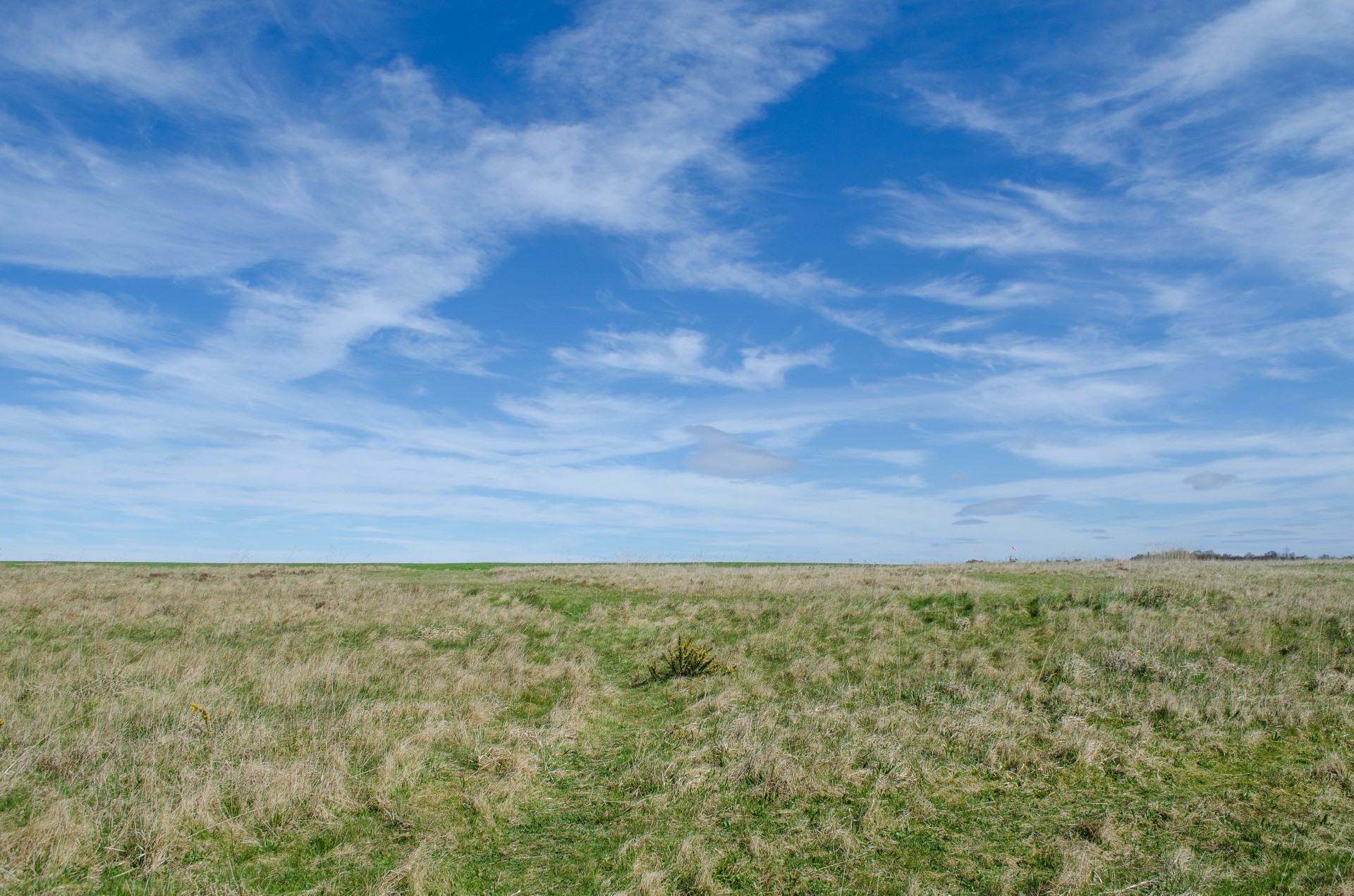 sky blue grass free photo