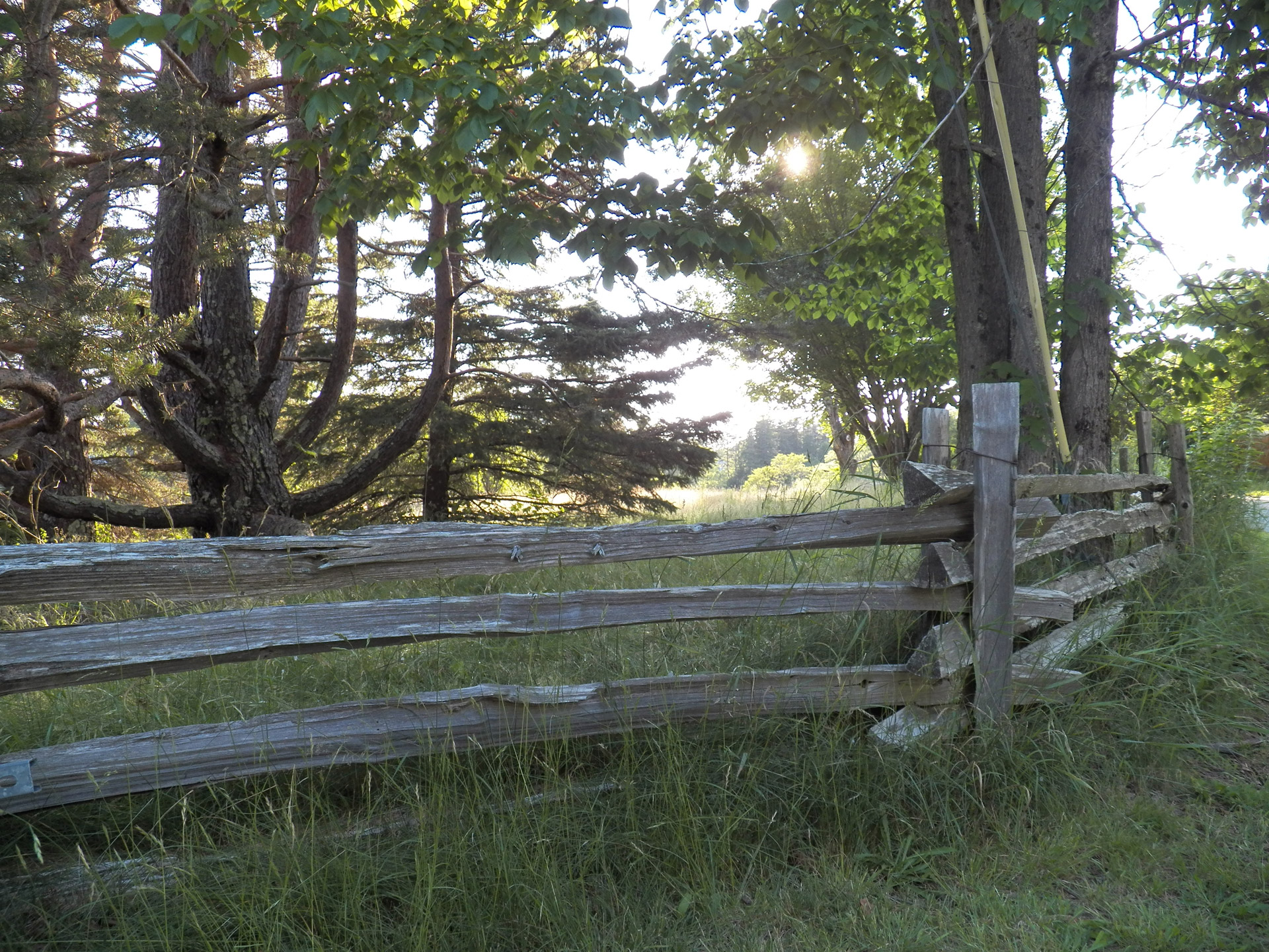 rail rail fence wooden fence free photo