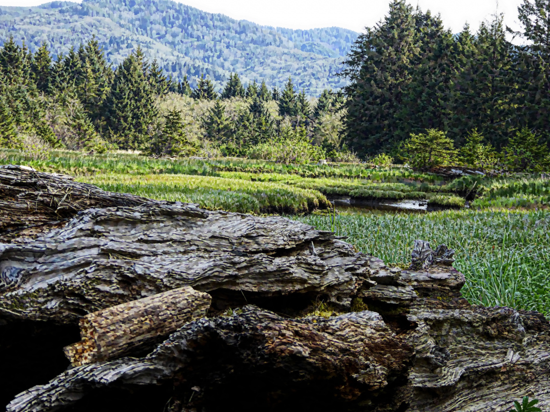 oregon meadow landscape free photo