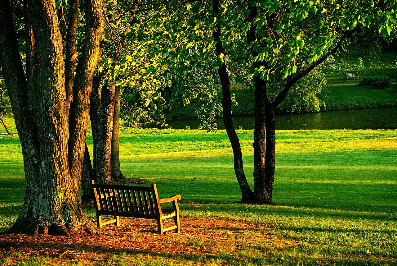 meadowlark park bench free photo