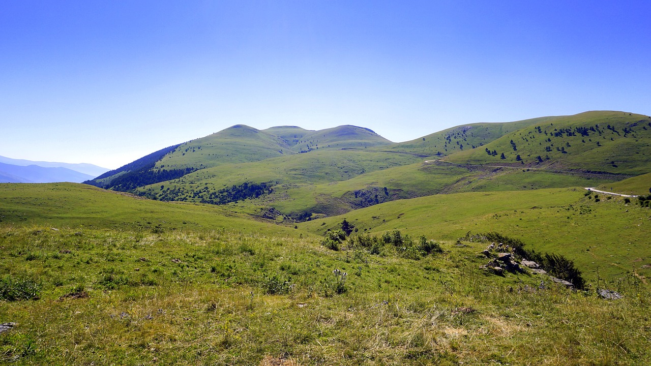 meadows green landscape free photo