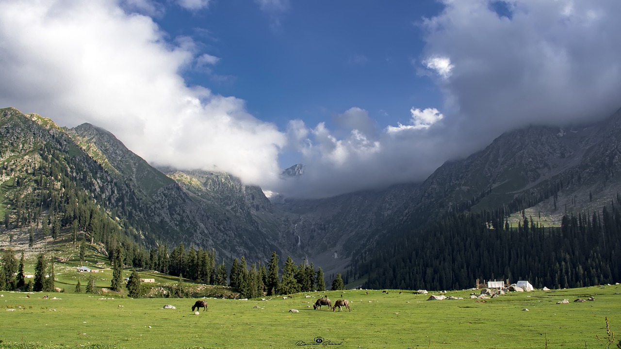 meadows  upperdir  kpk free photo