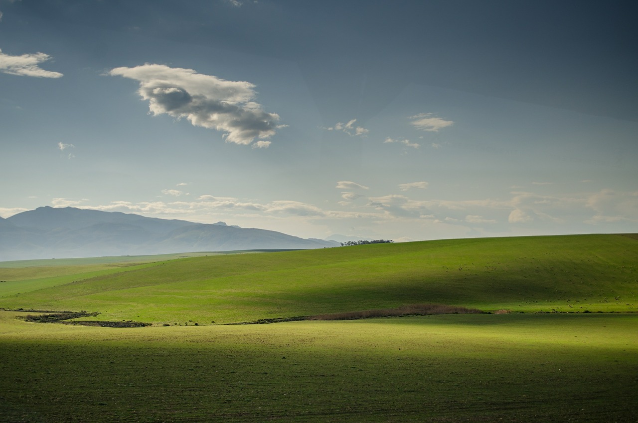 meadows pasture grass free photo