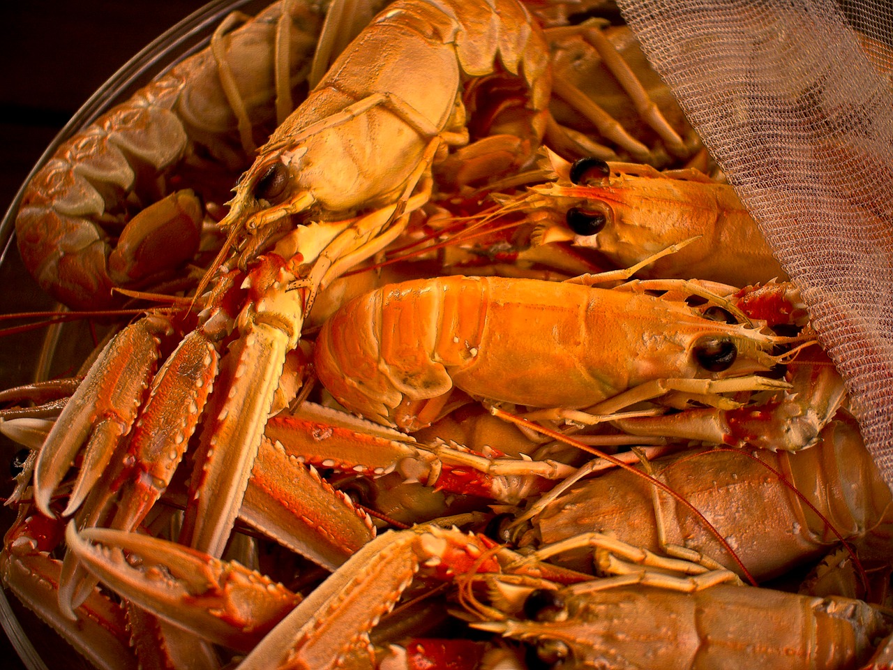 shrimp meal dining free photo