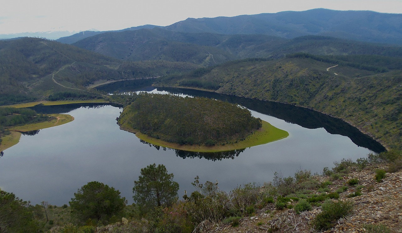 meander river nature free photo