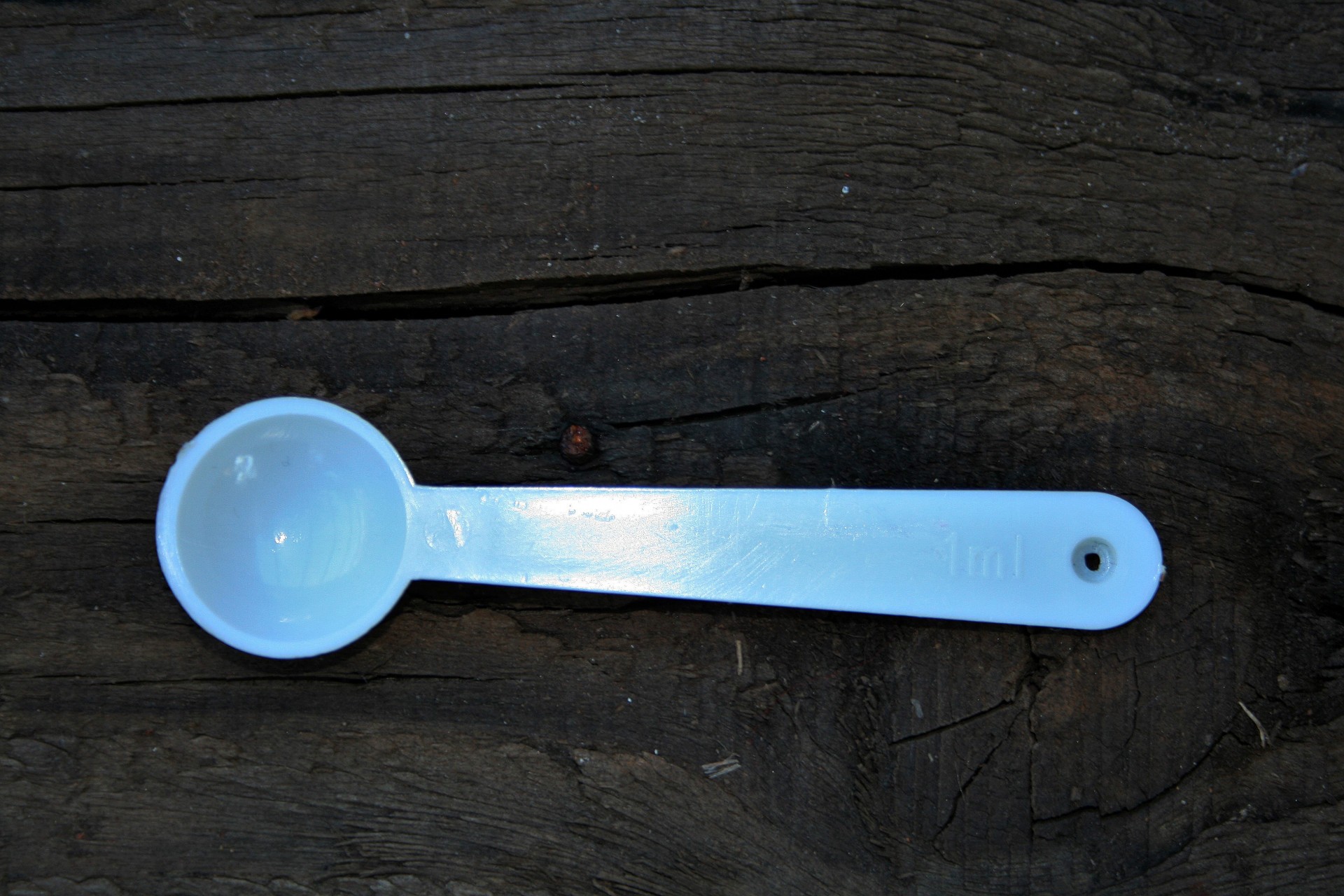 spoon plastic white free photo