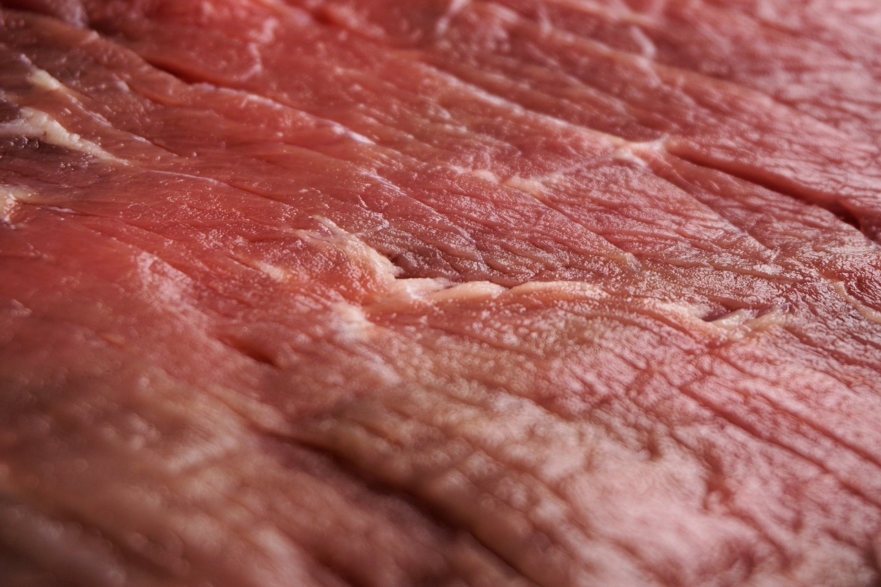meat structure raw free photo
