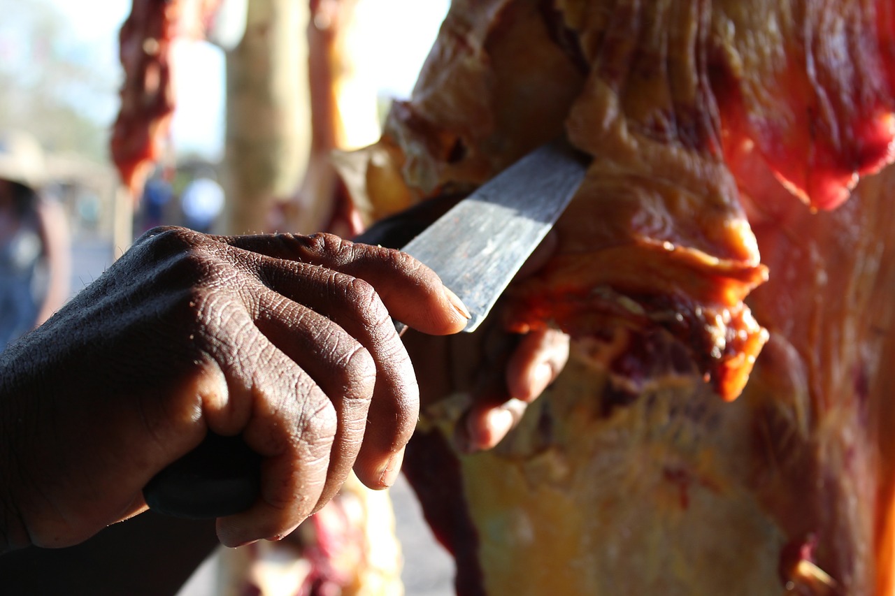 meat knife hand free photo