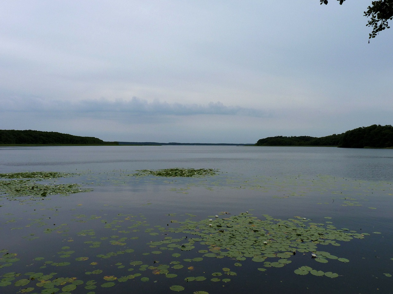 mecklenburg mecklenburgische seenplatte nature free photo