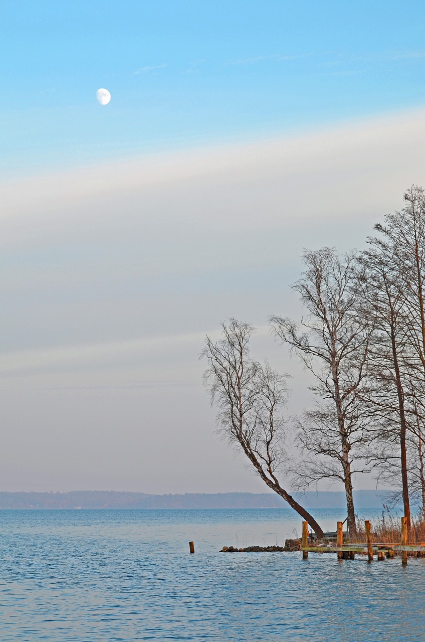 mecklenburg western pomerania lake plau am see free photo