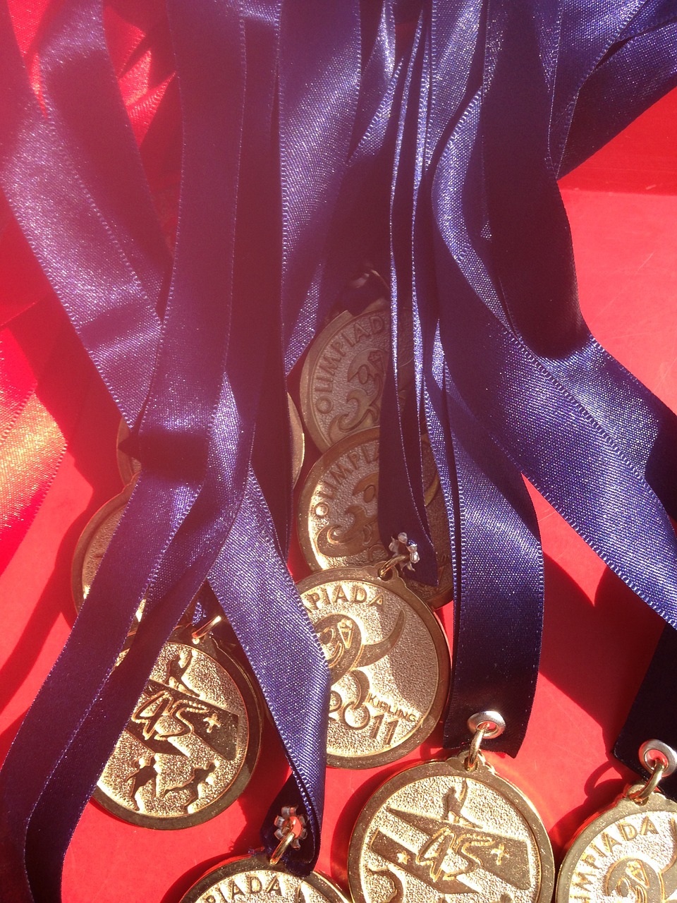 medals school championship free photo