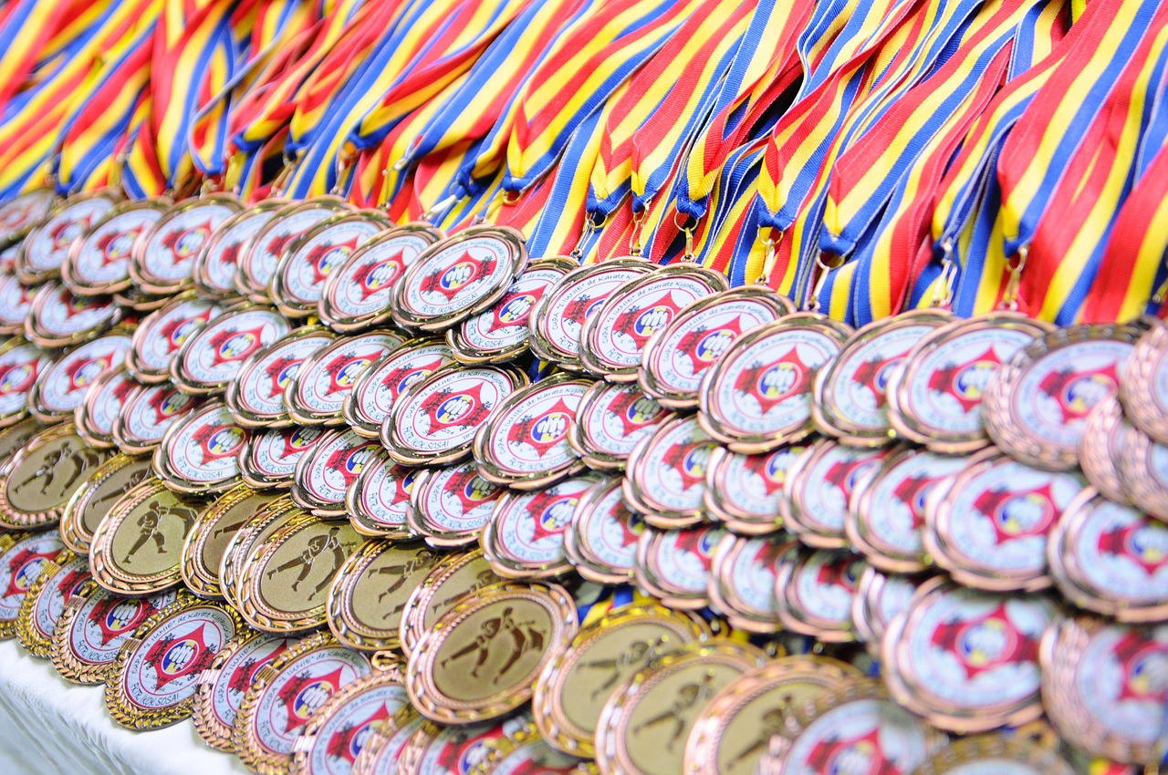 medals karate sport free photo