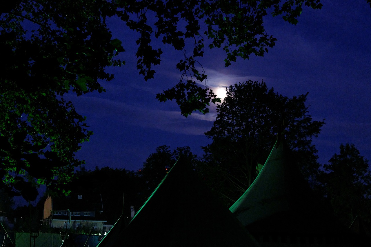 medieval market army camp tents free photo