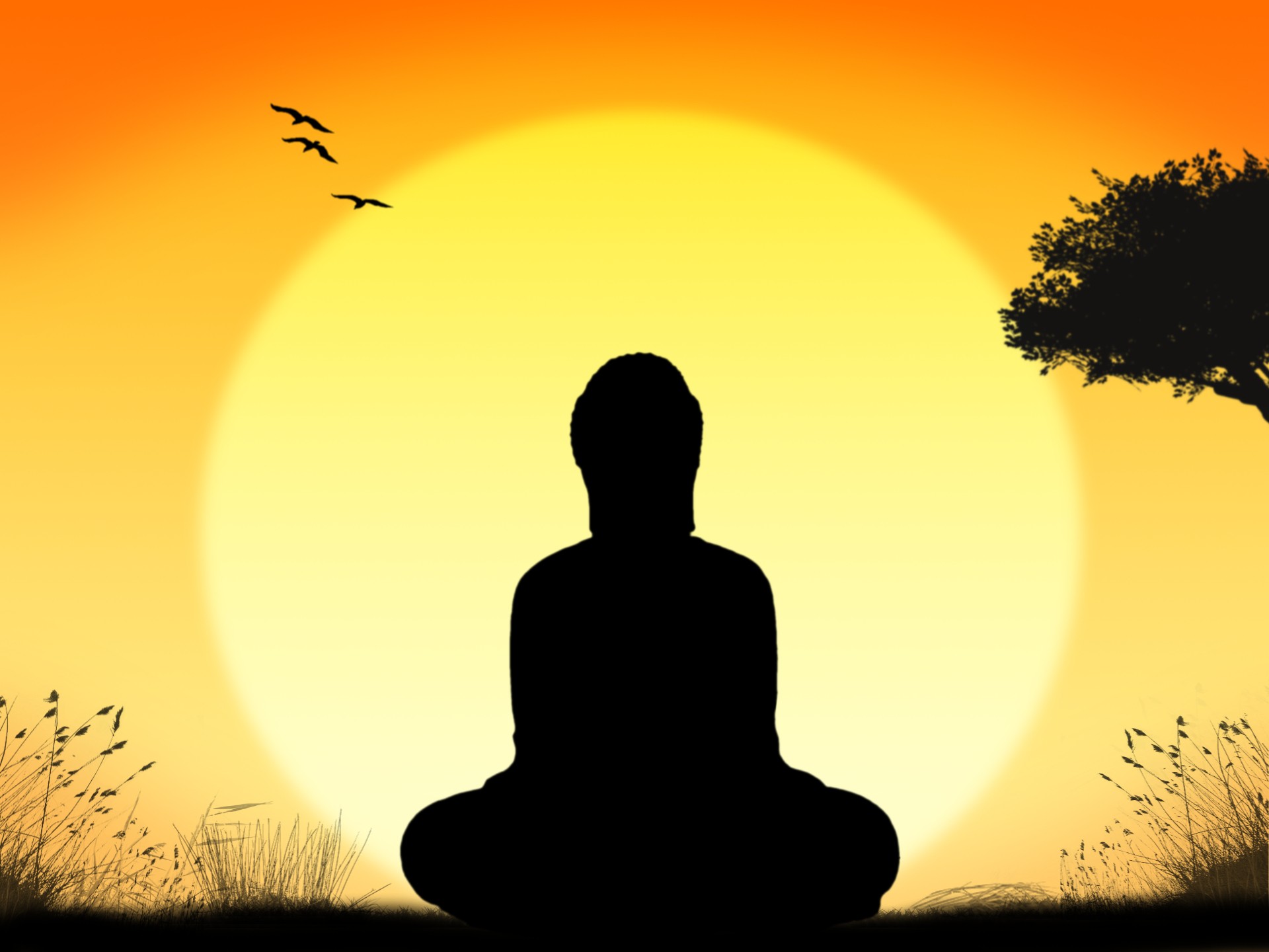 buddha meditation sunrise free photo