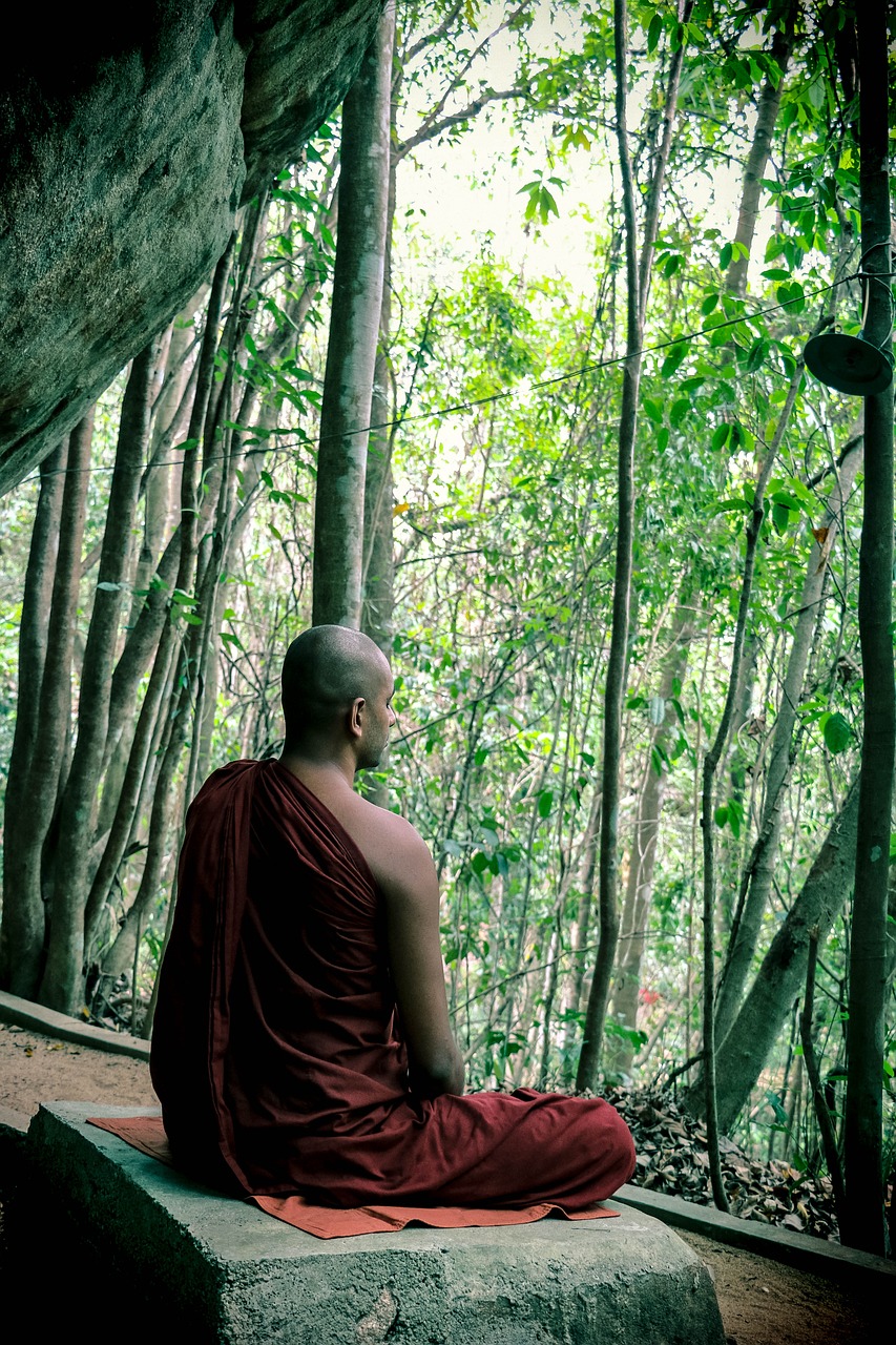 meditation bhikkhu mahamevnawa free photo
