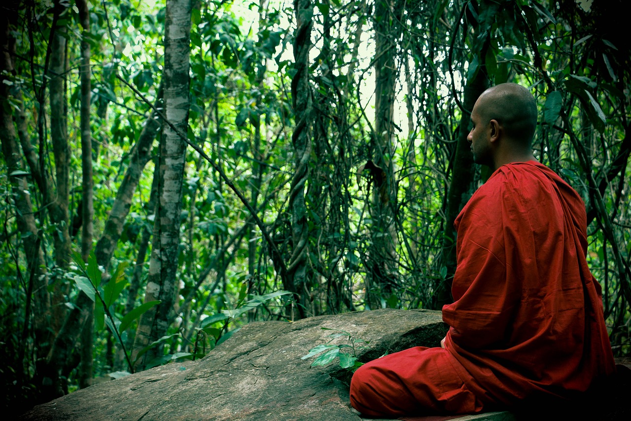 meditation bhikkhu mahamevnawa free photo