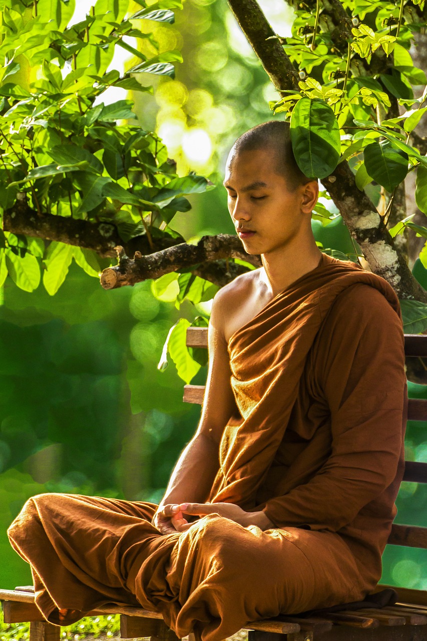 meditation monk meditating theravada buddhism free photo
