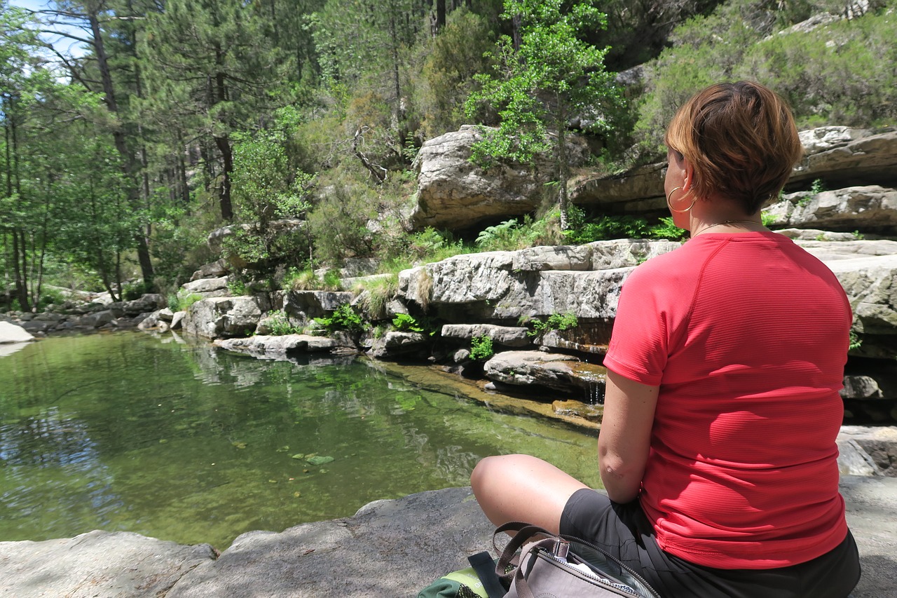 meditation nature forest free photo