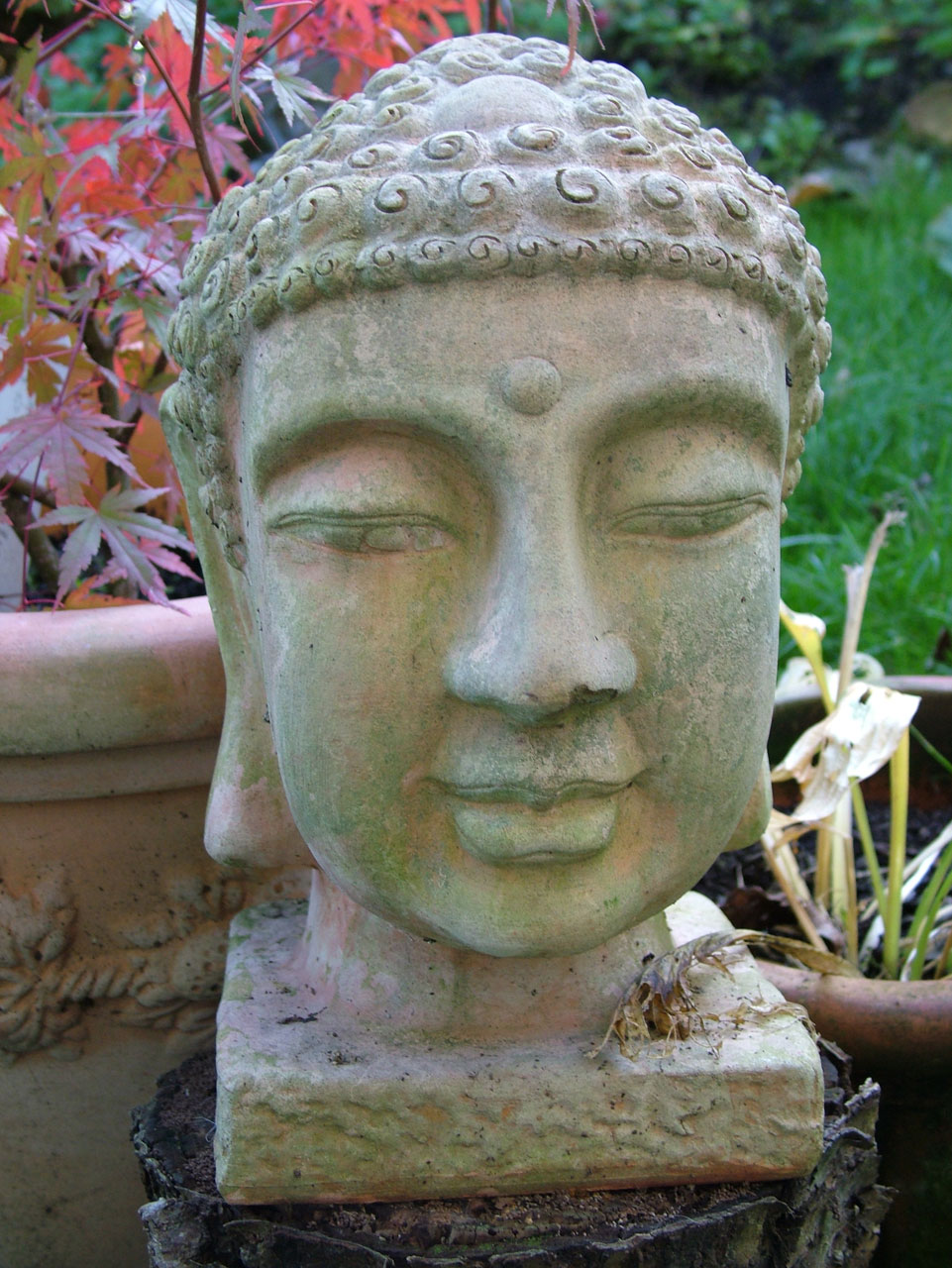 sculpture clay meditation free photo