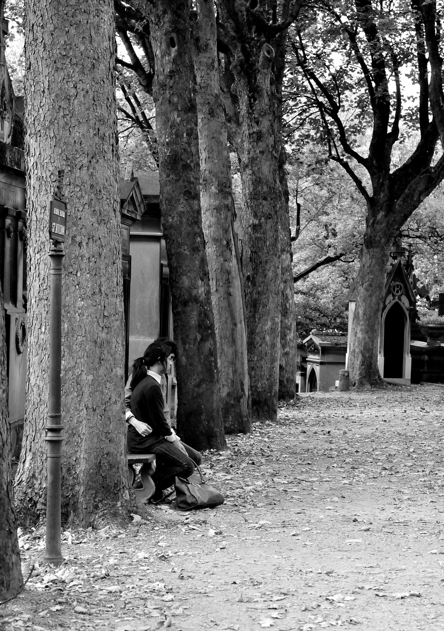 meditation contemplation cemetery free photo