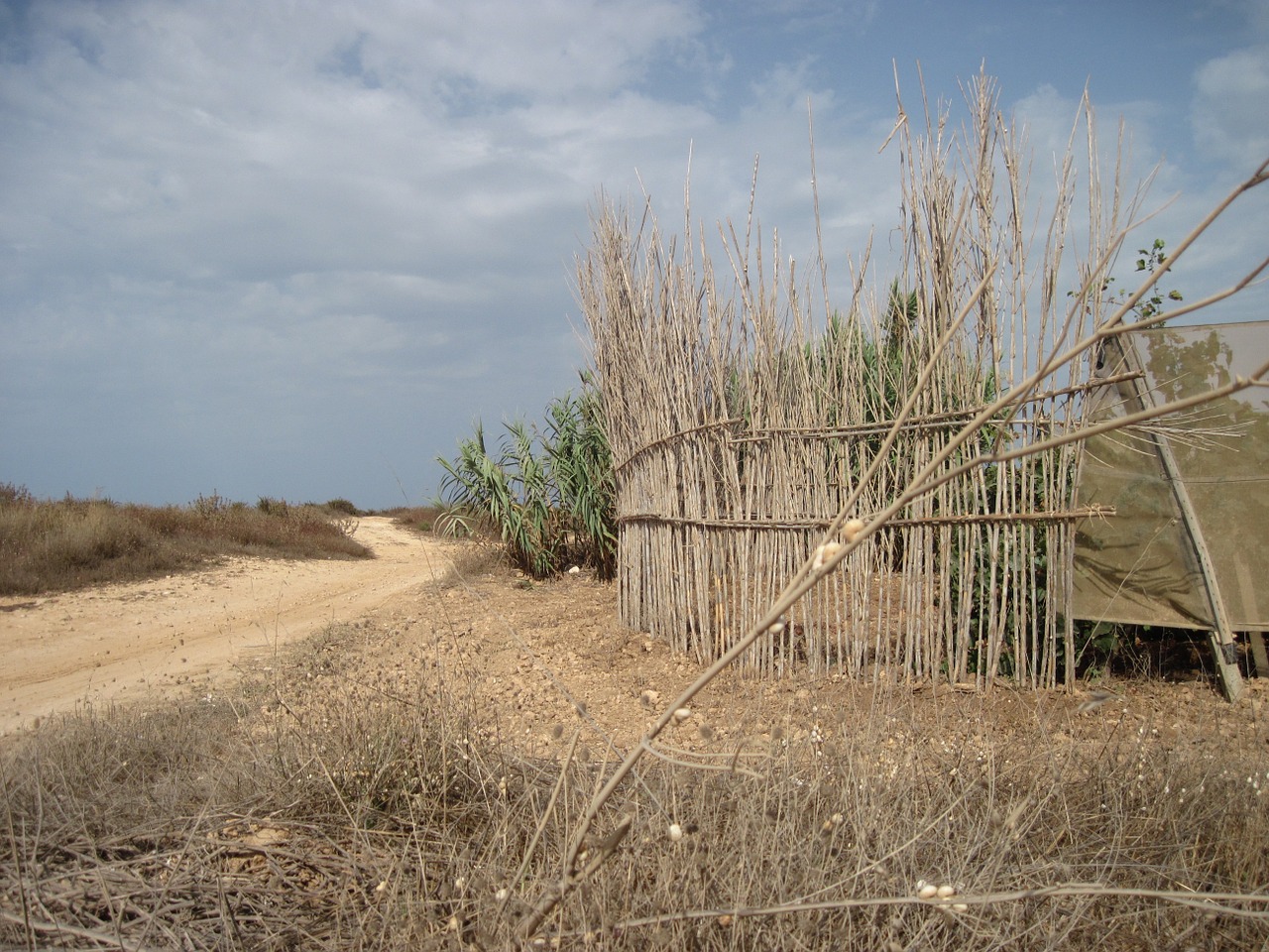 mediterranean dune landscape free photo