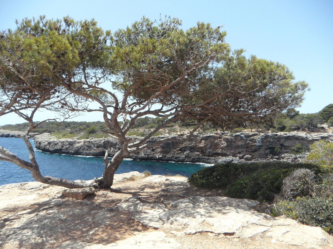 mediterranean sea coast free photo