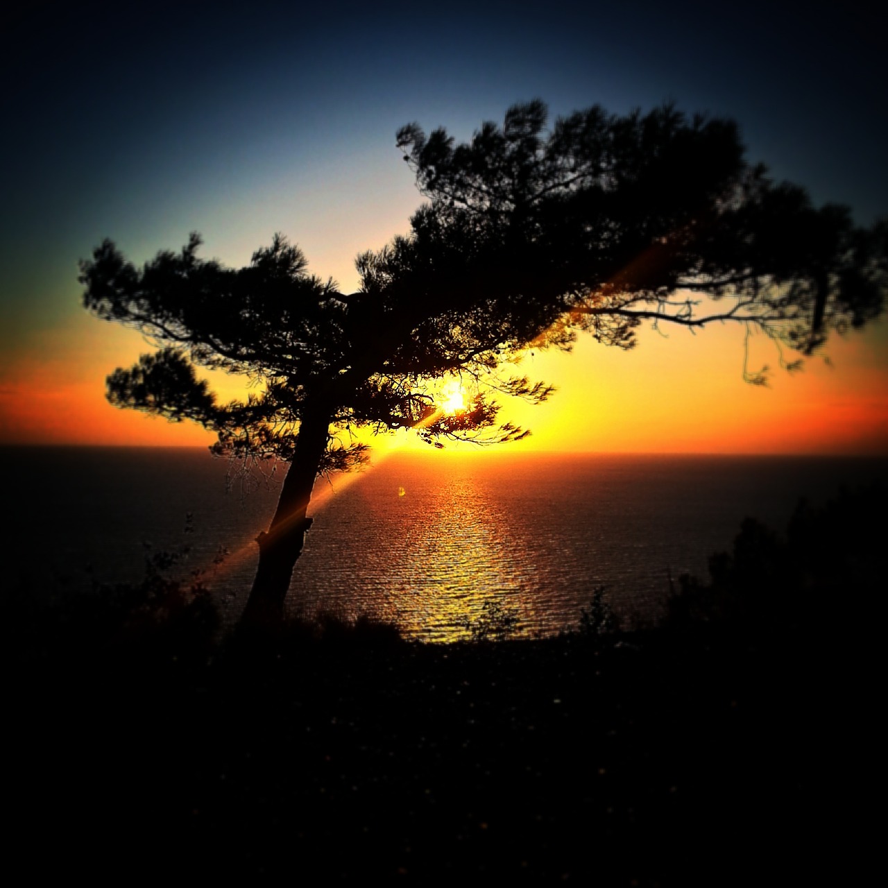 mediterranean landscape sunset free photo