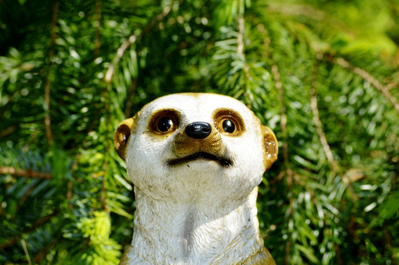 meerkat figure decoration free photo