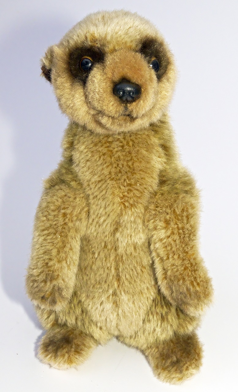 meerkat soft toy stuffed animal free photo