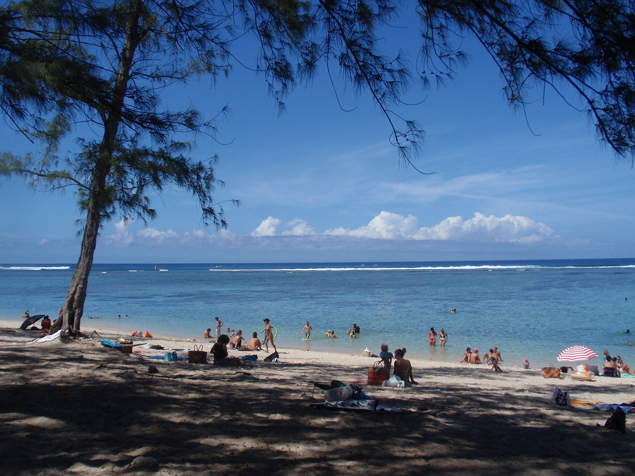 meeting beach lagoon free photo