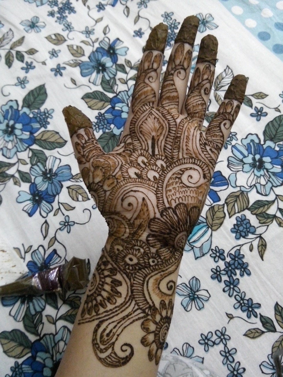 mehendi henna traditional free photo