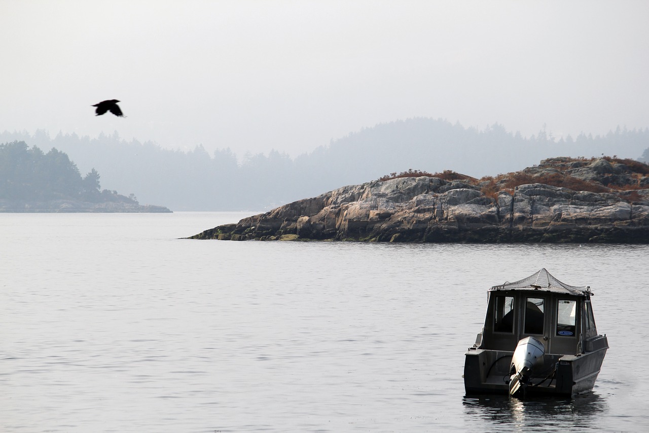 mehran babaee boat ocean free photo