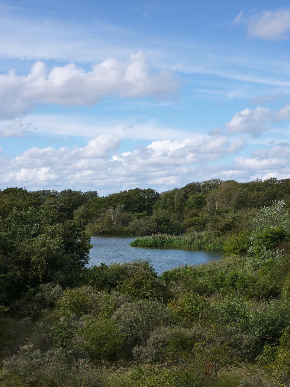 meijendel wassenaar scheveningen free photo