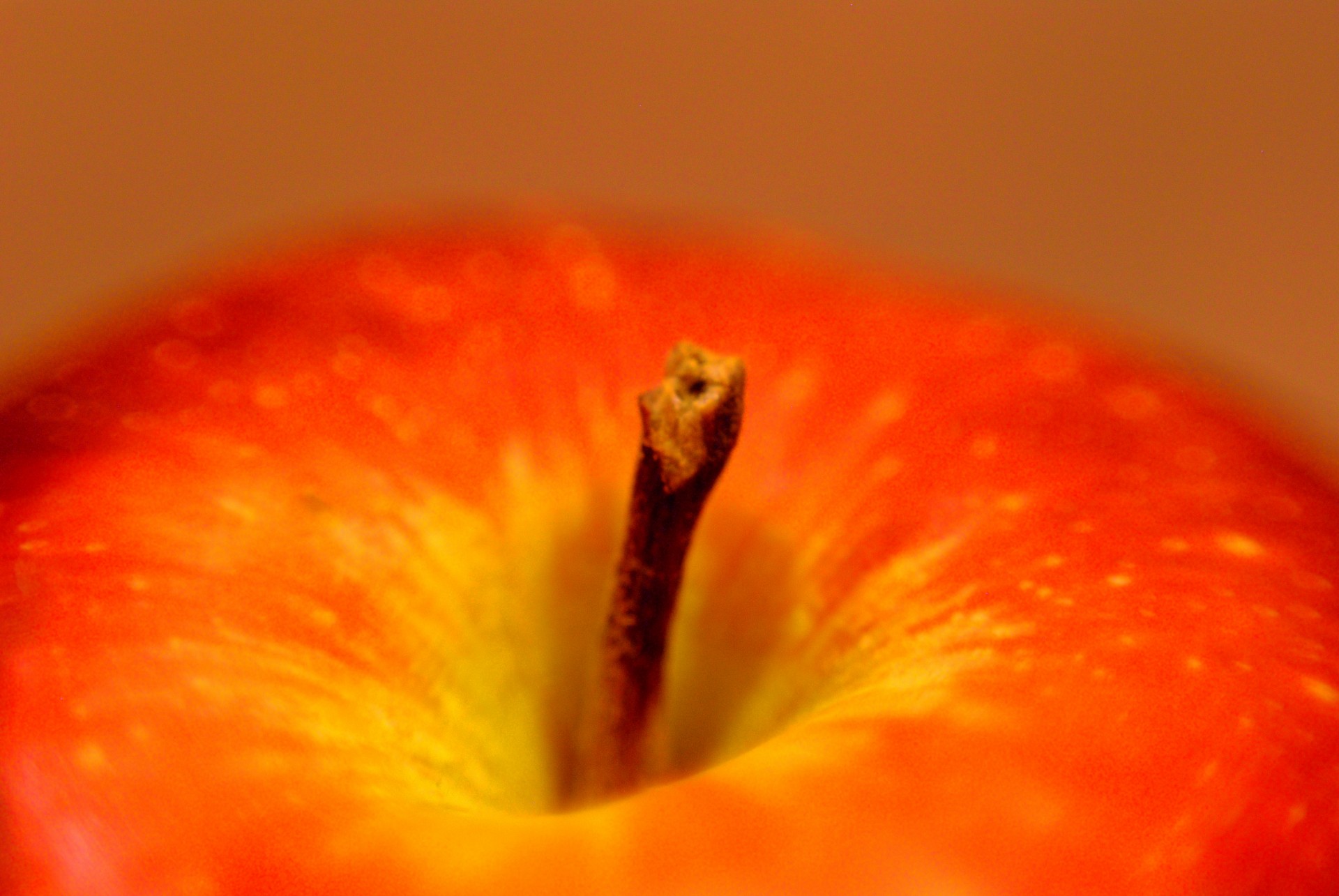 apple close up red free photo