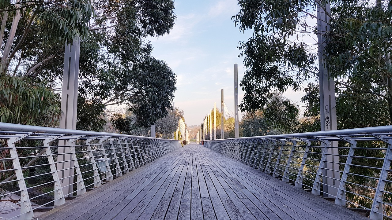 melbourne  boardwalk  nature free photo