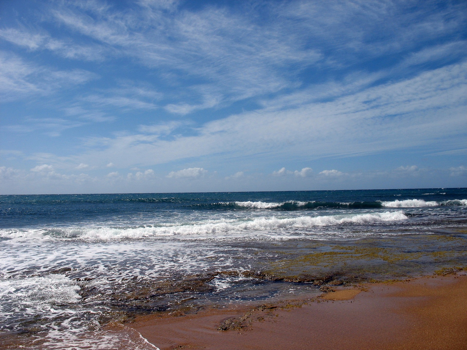 melbourne sea shore beach australia water free photo