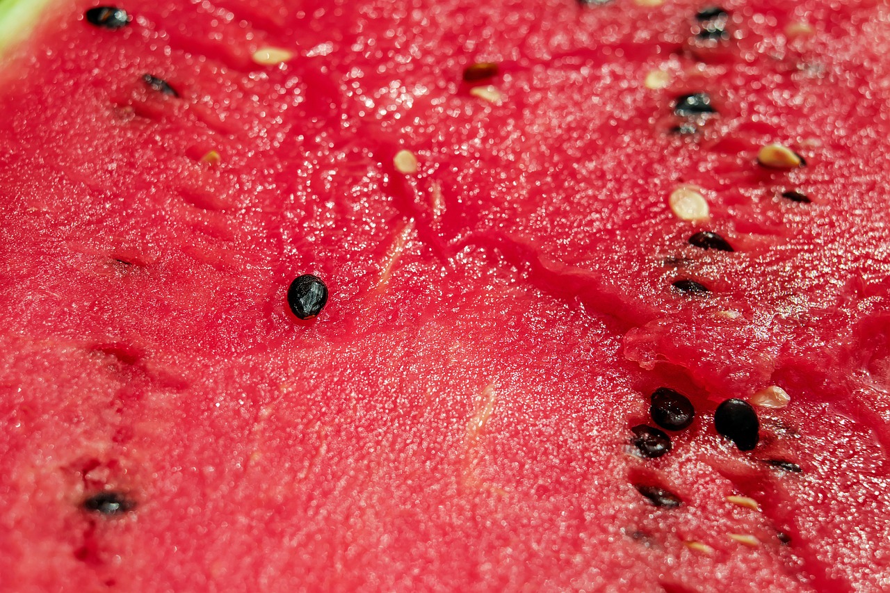 melon watermelon pulp free photo