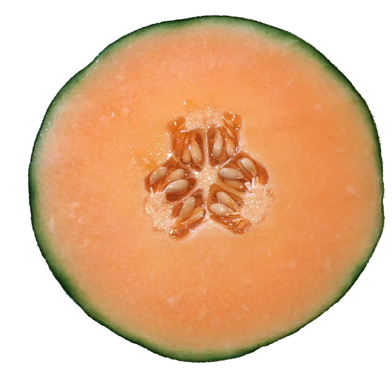 melon cantaloupe orange free photo