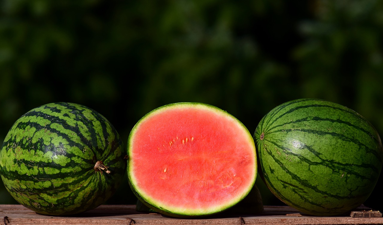 melon ziermelone watermelon free photo