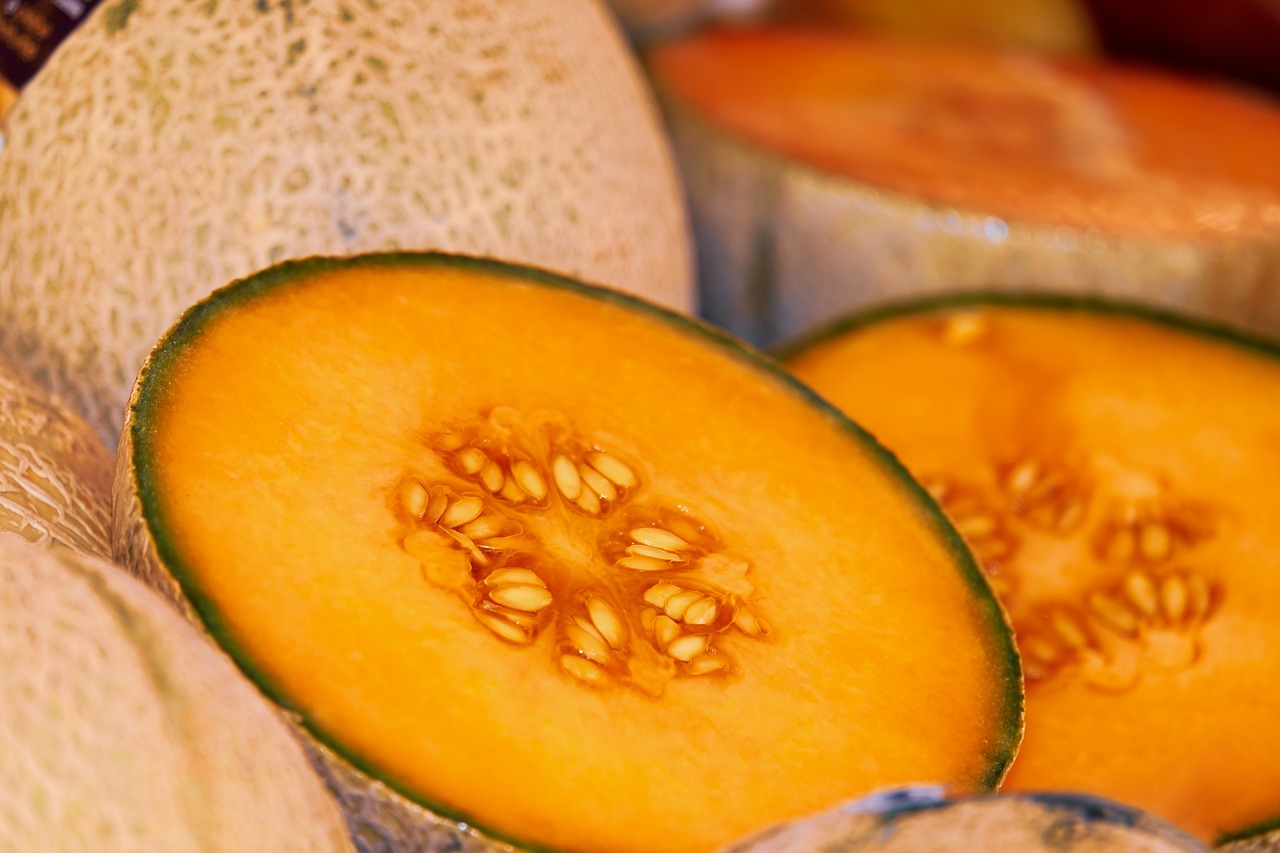 melon  galia  sliced free photo