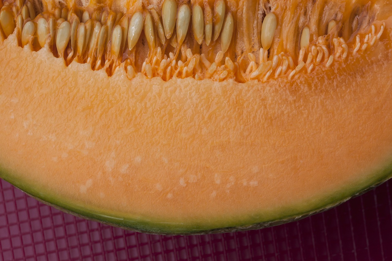 melon  orange  cores free photo